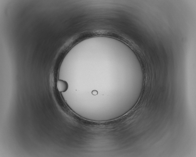 X0000112500734200908171011