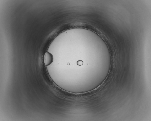 X0000112500735200908171011