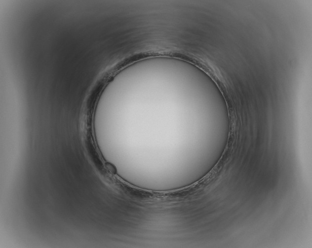 X0000112500736200908171011
