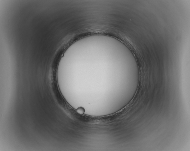 X0000112500738200908171011