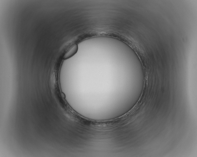 X0000112500740200908171011