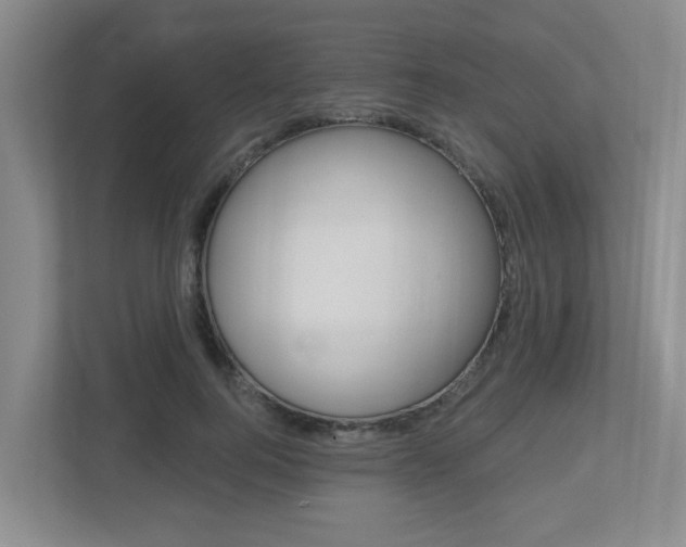 X0000112500744200908171011