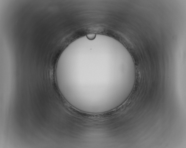 X0000112500745200908171011