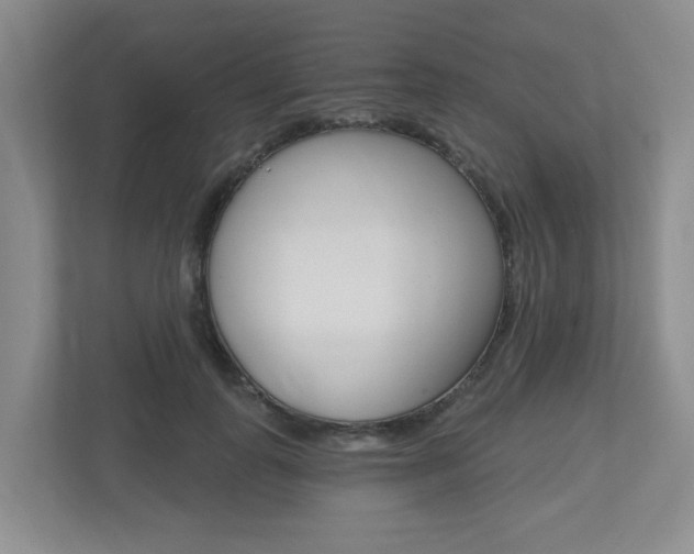 X0000112500747200908171011