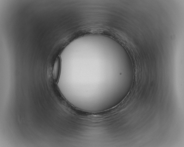 X0000112500748200908171011