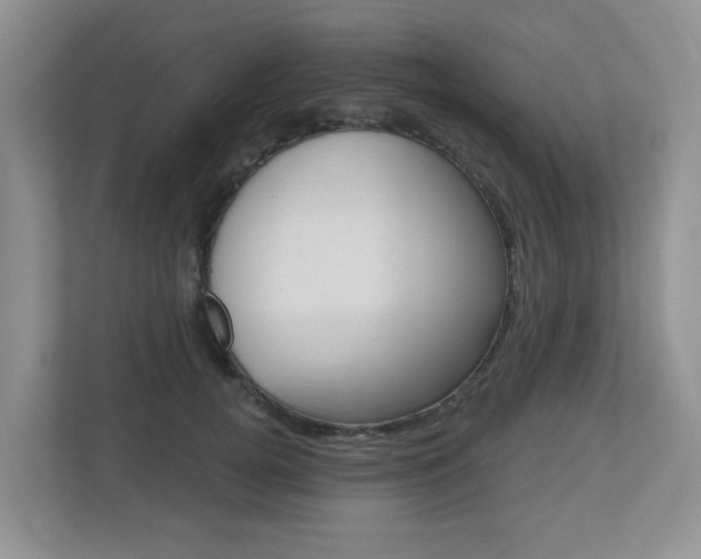 X0000112500752200908171011