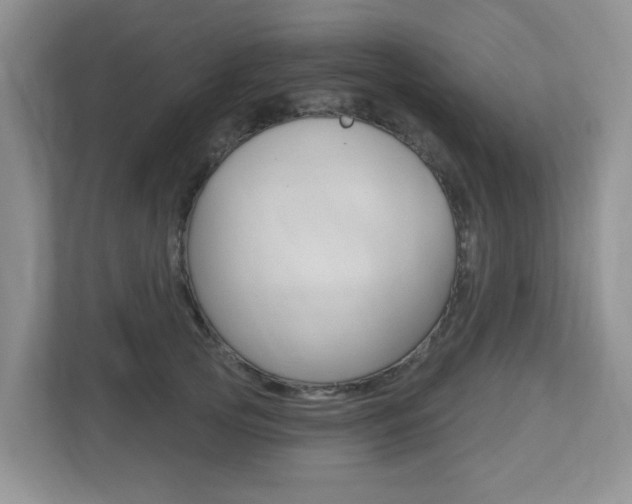 X0000112500753200908171011