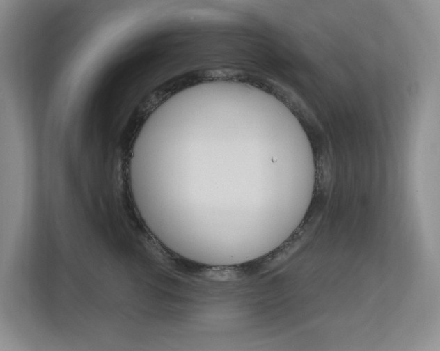 X0000112500762200908171011