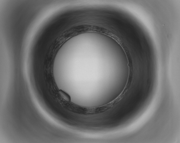 X0000112500766200908171011