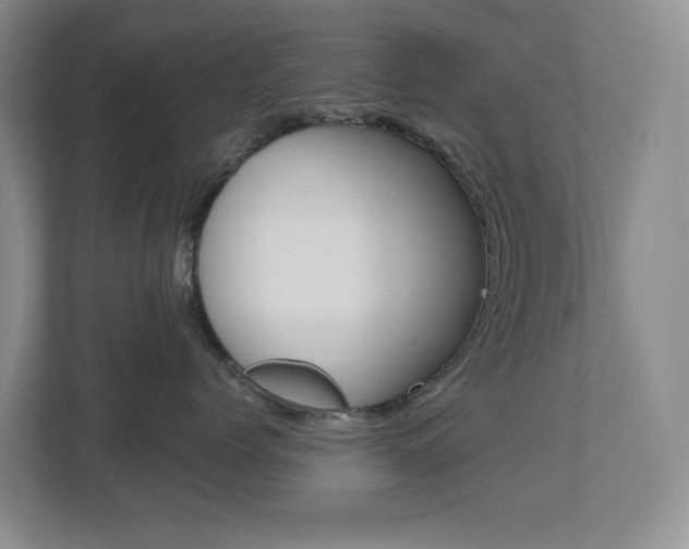 X0000112500768200908171011
