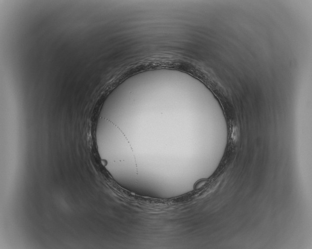 X0000112500771200908171010
