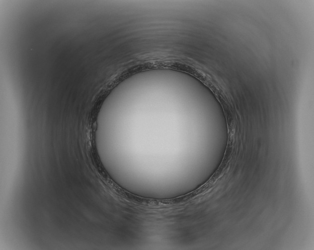 X0000112500772200908171010