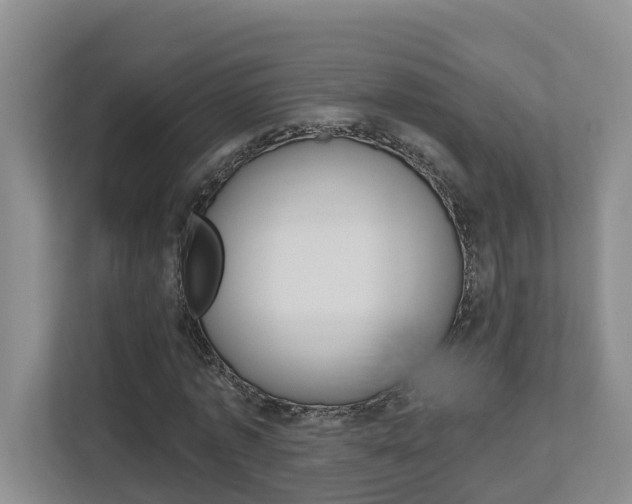 X0000112500773200908171010
