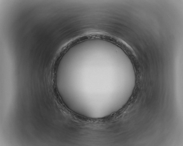 X0000112500775200908171010