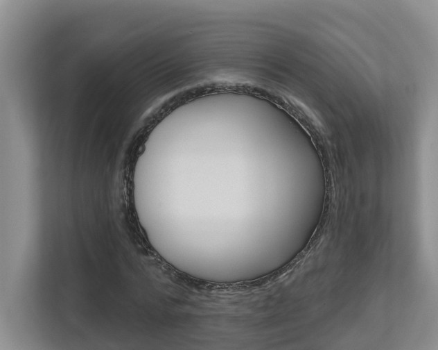 X0000112500776200908171010