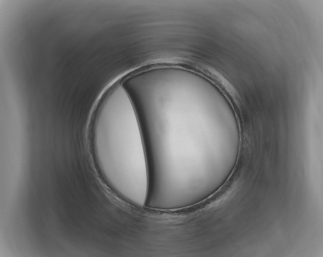 X0000112500779200908171010