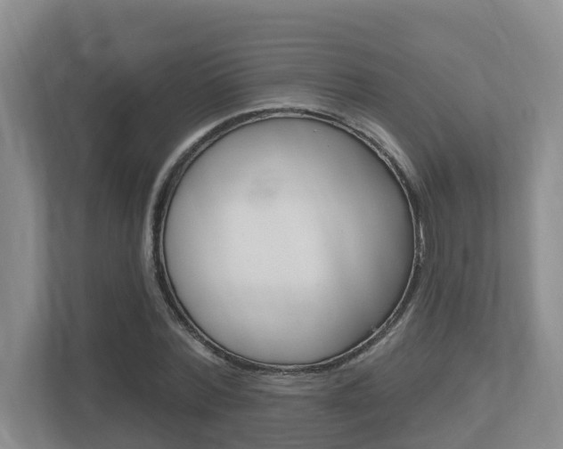 X0000112500780200908171010