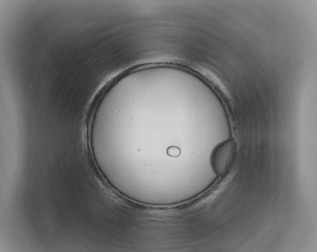 X0000112500781200908171010