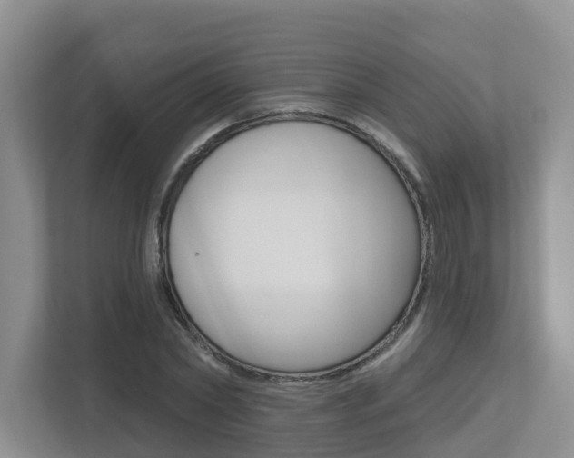 X0000112500782200908171010