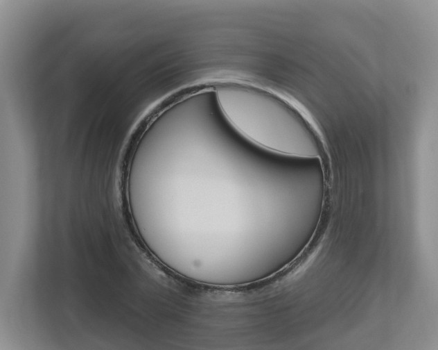 X0000112500783200908171010