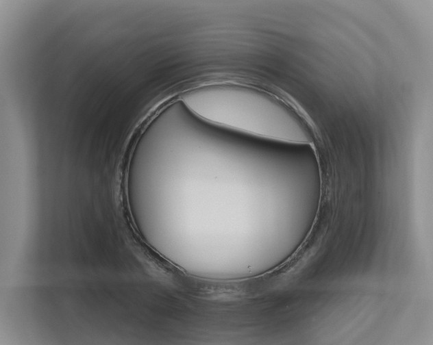 X0000112500786200908171010