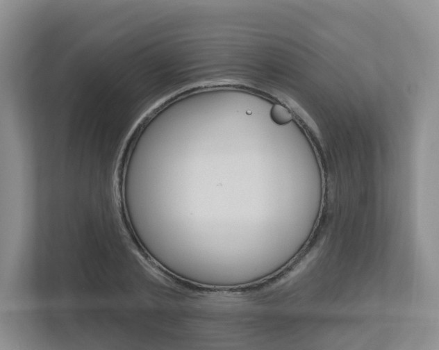 X0000112500789200908171010