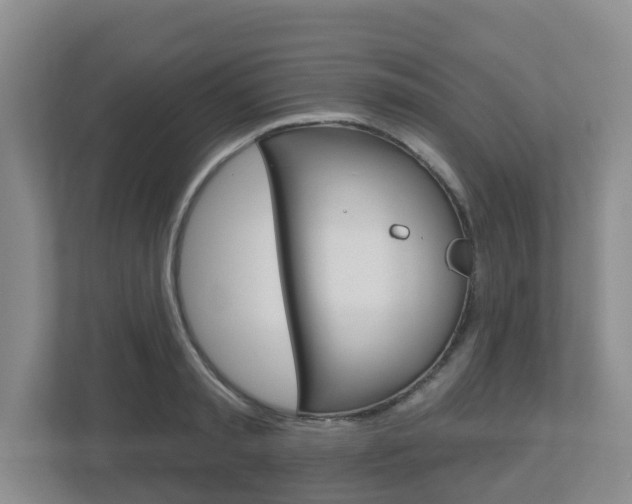 X0000112500797200908171010
