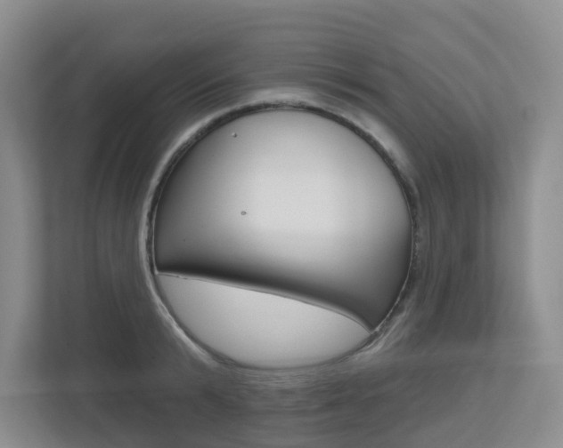 X0000112500799200908171010