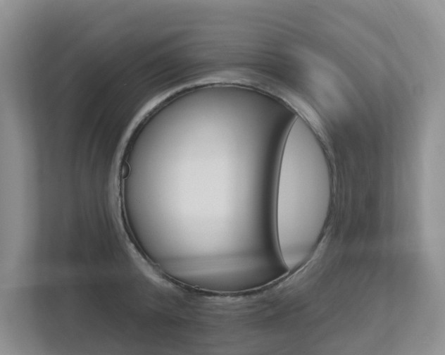 X0000112500800200908171010