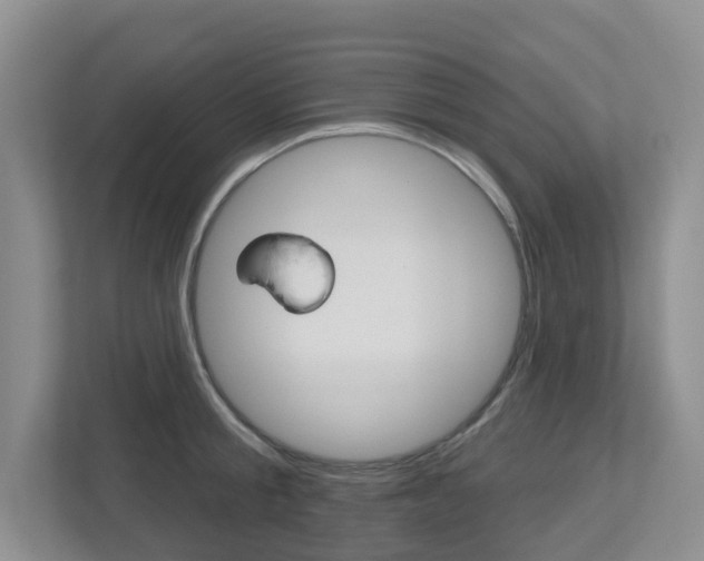 X0000112500805200908171010