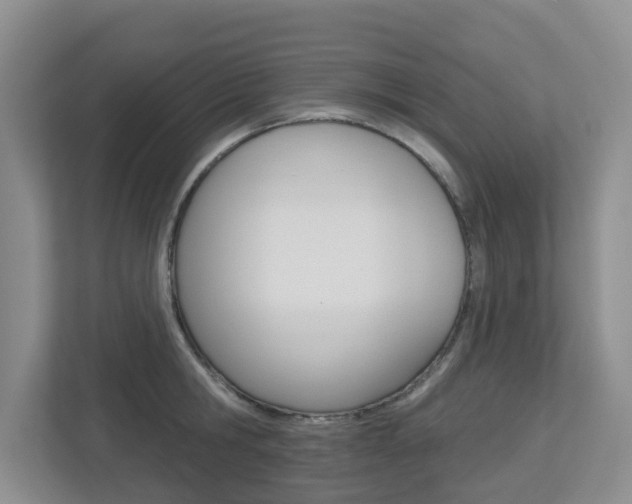 X0000112500806200908171010