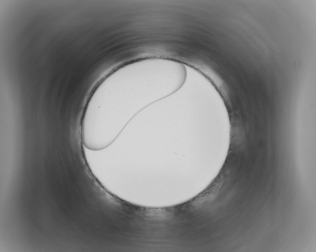 X0000112500807200908171010