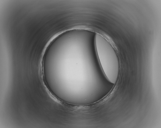 X0000112500808200908171010
