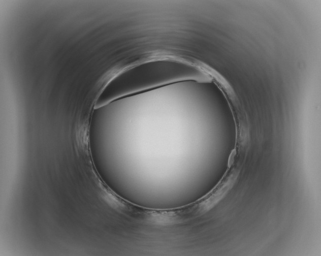 X0000112500809200908171010