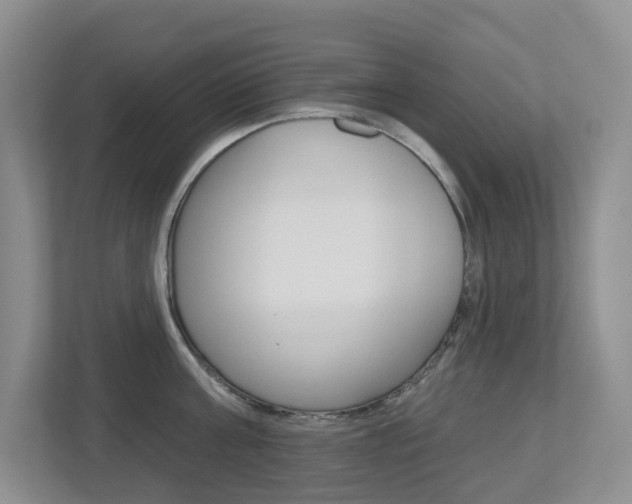 X0000112500811200908171010