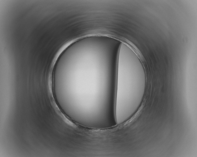 X0000112500812200908171010
