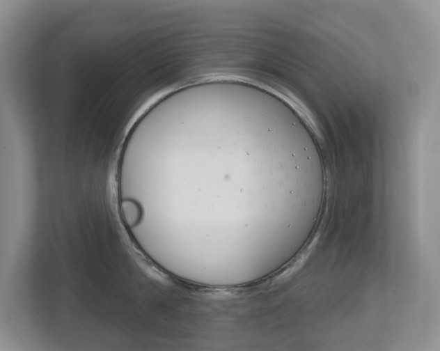 X0000112500814200908171010