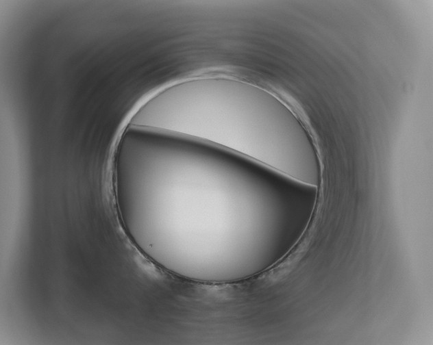X0000112500816200908171010