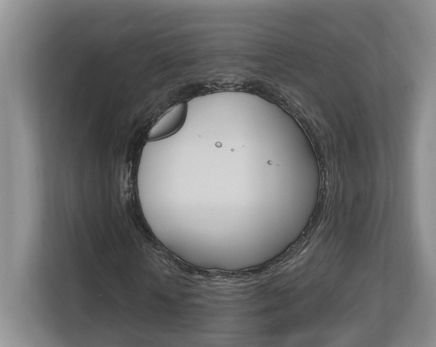 X0000112500818200908171009