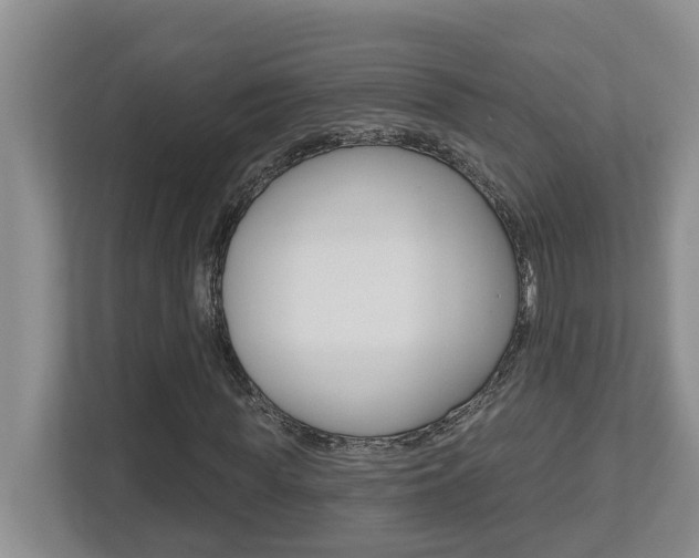 X0000112500819200908171009