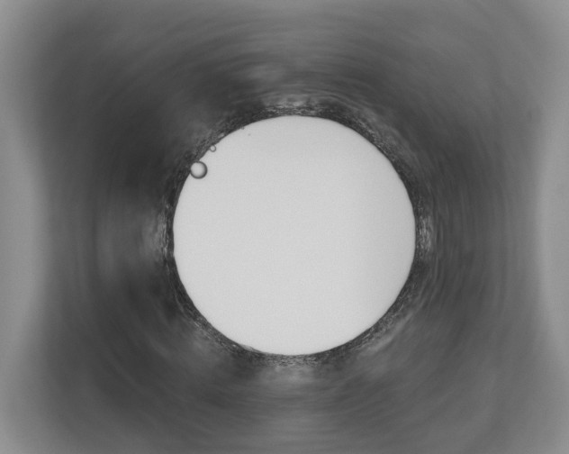 X0000112500820200908171009