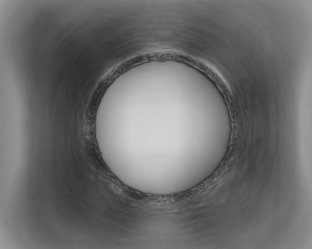 X0000112500823200908171009