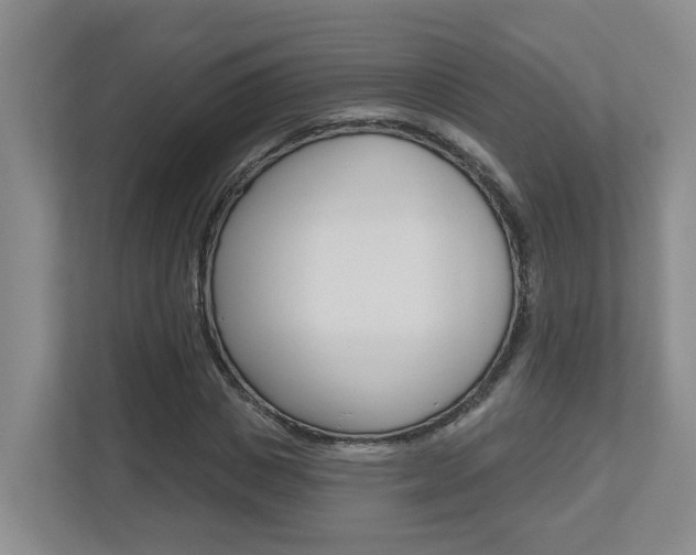X0000112500825200908171009