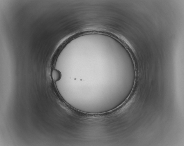 X0000112500830200908171009