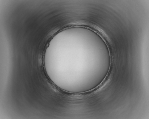 X0000112500833200908171009