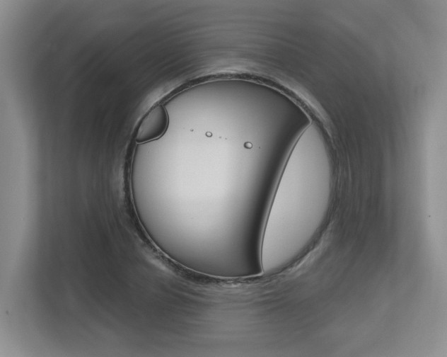 X0000112500834200908171009