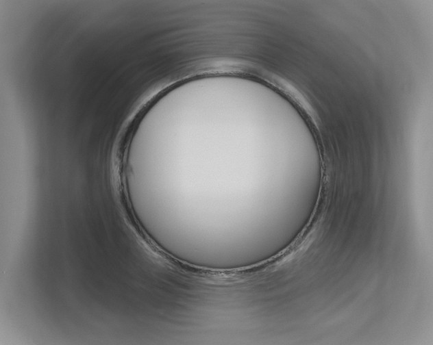 X0000112500835200908171009