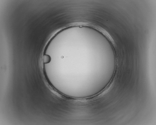 X0000112500844200908171010