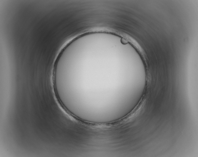 X0000112500847200908171010