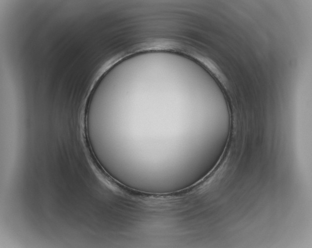 X0000112500850200908171010
